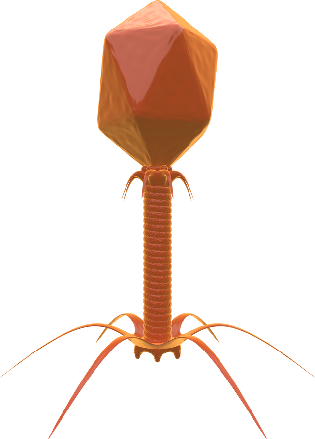 bacteriophage-2821660_1920.png