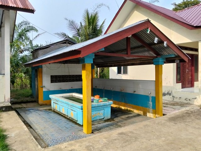 4595.jpg