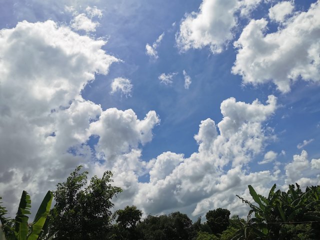 IMG_20240831_125729.jpg