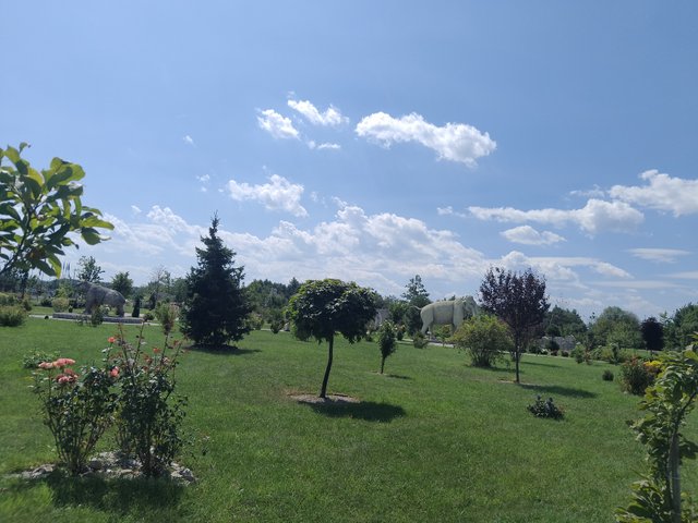 IMG_20250810_131719.jpg