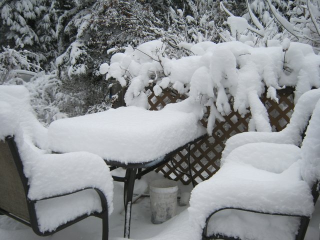 snow on deck chairs.JPG