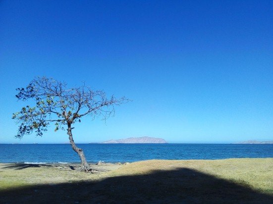 playita21502221.jpg