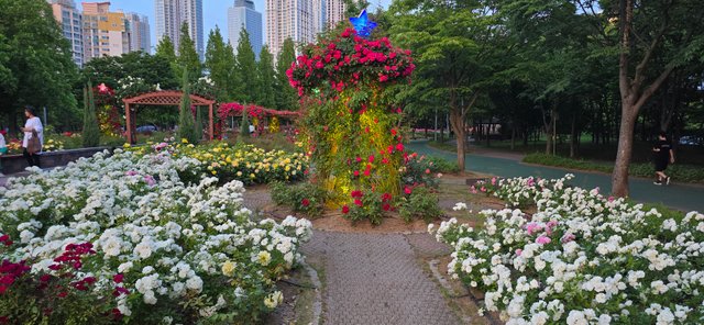 KakaoTalk_20250605_220126977_28.jpg