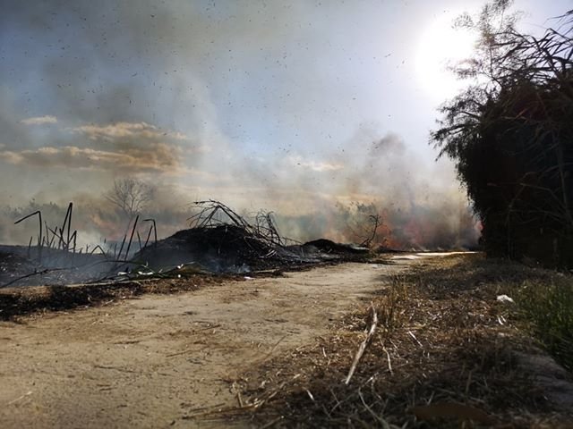 пожар Ларнака май 2020 (10).jpg