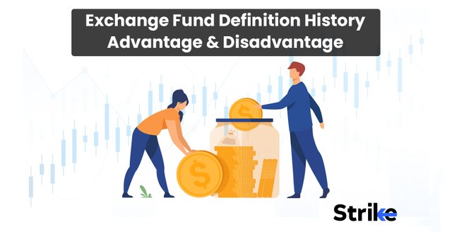 Exchange-Fund-Definition-History-Advantage-and-Disadvantage.jpg