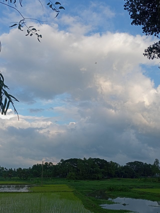 IMG20250822174433.jpg