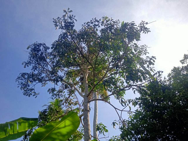 IMG20250906091926.jpg