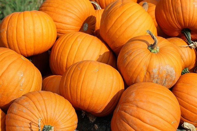 pumpkins-457716_1280.jpg