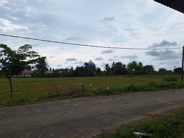 1001060544.jpg