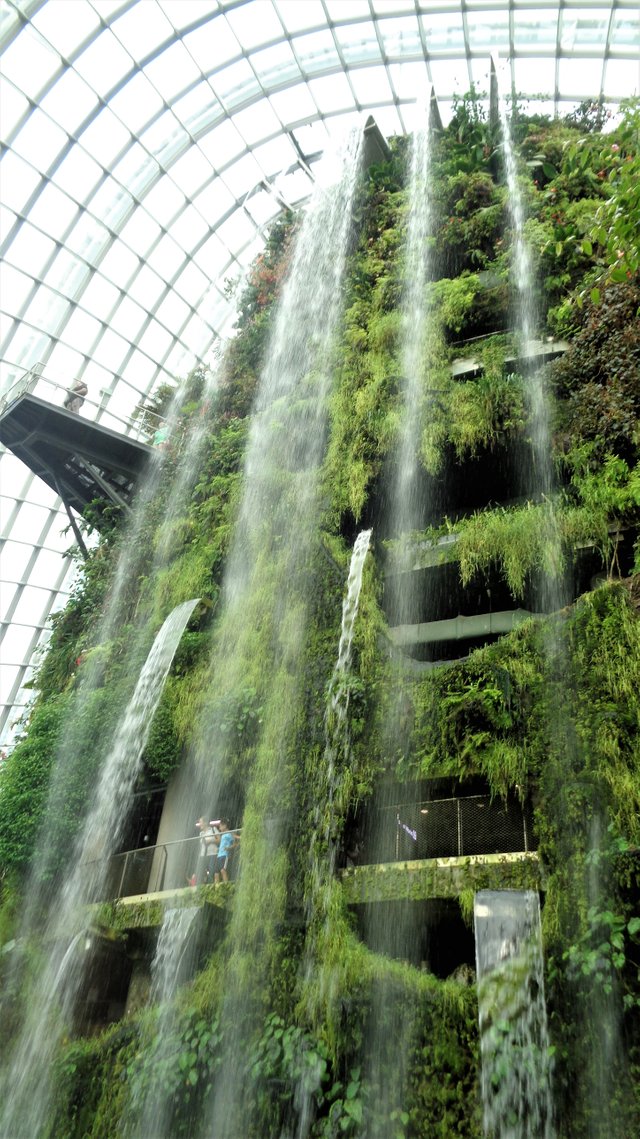 If You Would Like To Observe Tallest Man Made Indoor Waterfall Go