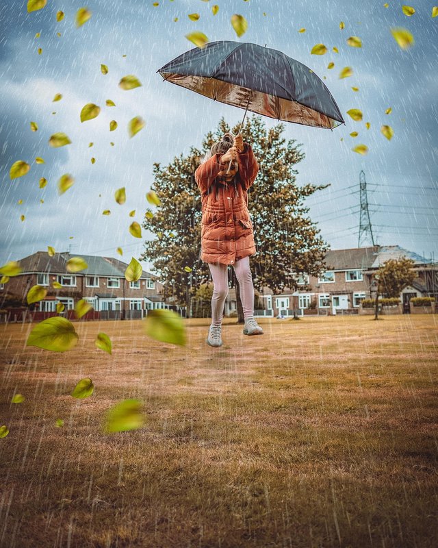 umbrella-6819413_1280.jpg