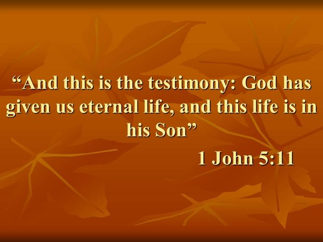 Why Jesus taught us that the pursuit of spiritual life is eternal life and not happiness.jpg