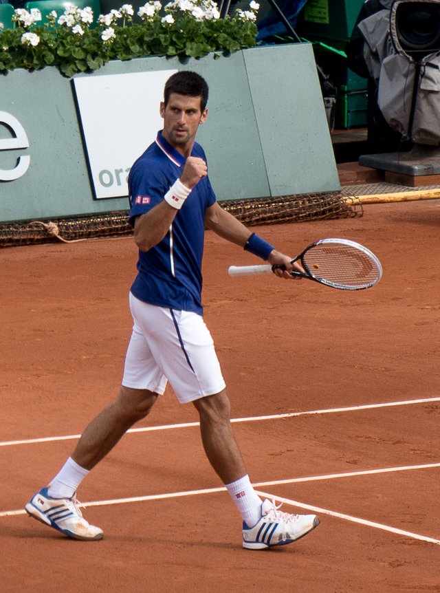 Novak_Đoković_-_Roland-Garros_2013_-_023.jpg