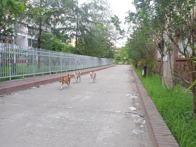 IMG_20250528_232651.jpg