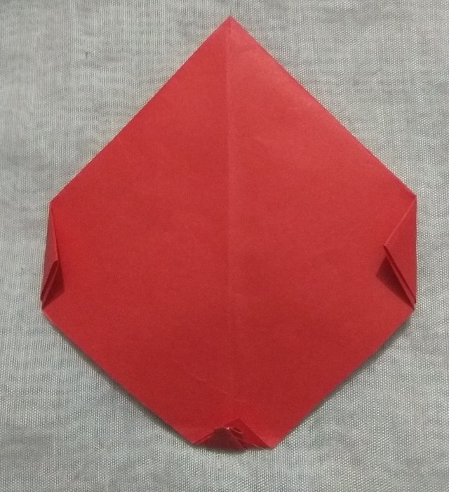 o11.jpg