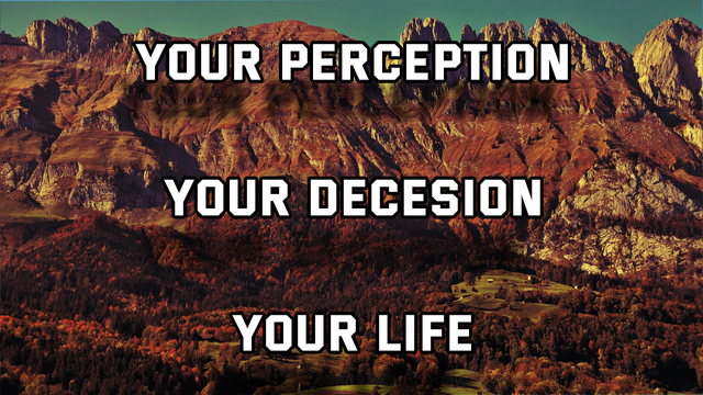 Your perception