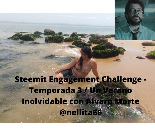 Steemit Engagement Challenge - Temporada 3  Un Verano Inolvidable + el título que desees por @autor..jpg