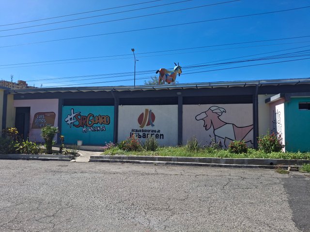 1000395923.jpg