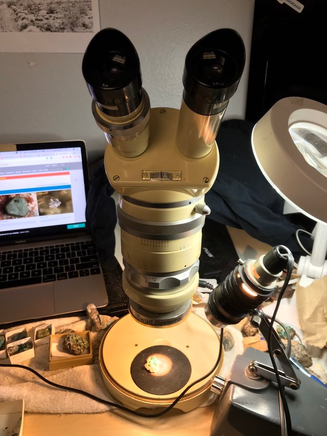 Microscope.jpg