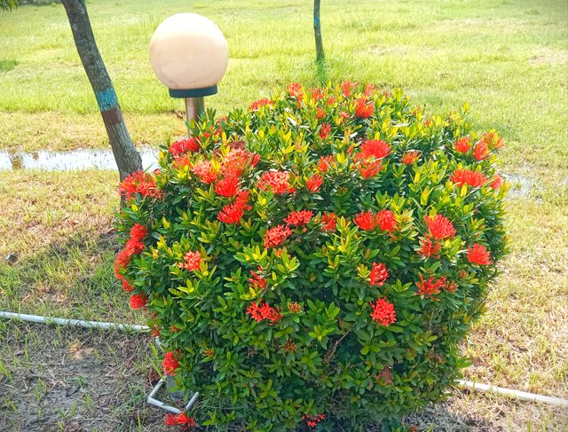IMG_20250818_075858.jpg
