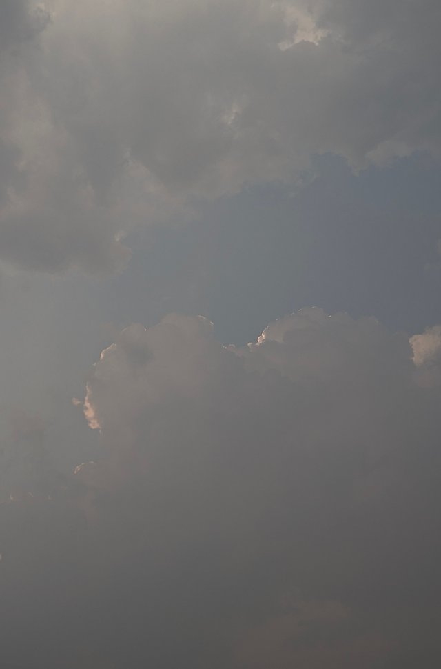 1000044776.jpg