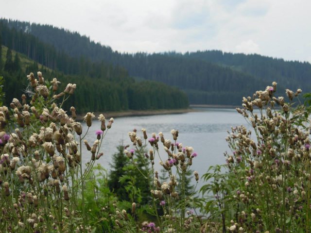 Lacul Vidra.1.jpg