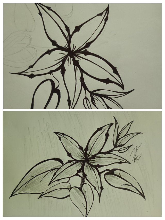 20250804_175714-COLLAGE.jpg