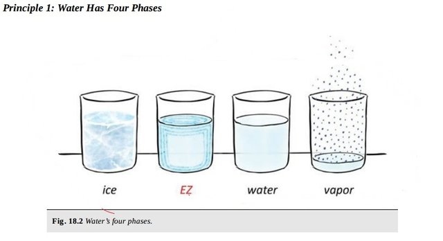 Water-Chemistry-4th-Phase-Gerald-Pollack-and-EZ-Ignored-Discoveries-11.jpg