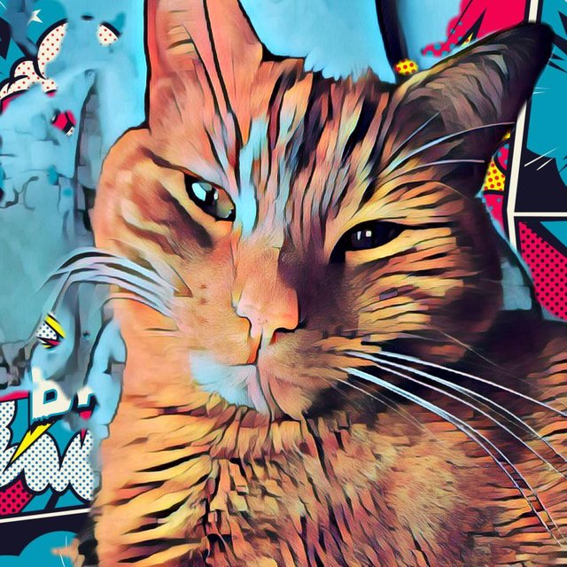 trippy-cat-art-08.jpg