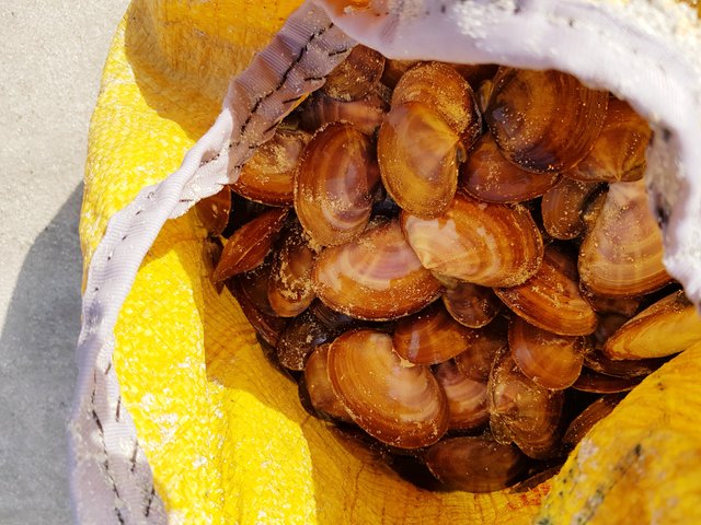 20180713_153506.jpg