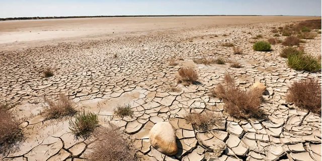 Causes-and-Effects-of-Desertification-1.jpg