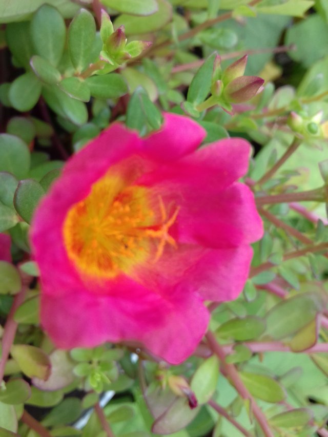 20190717_104928.jpg