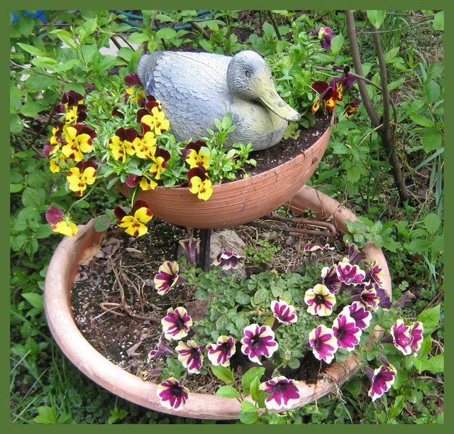 duck planter.JPG