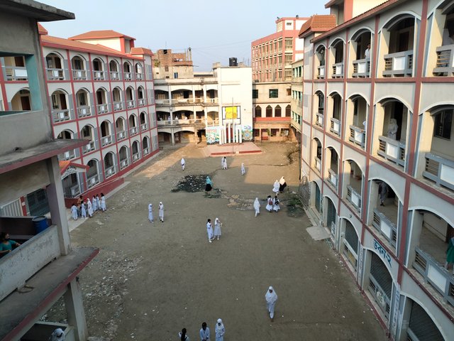 IMG20250506065553.jpg
