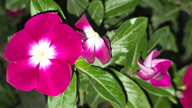 20250322_043949.jpg