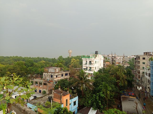 1000007435.jpg