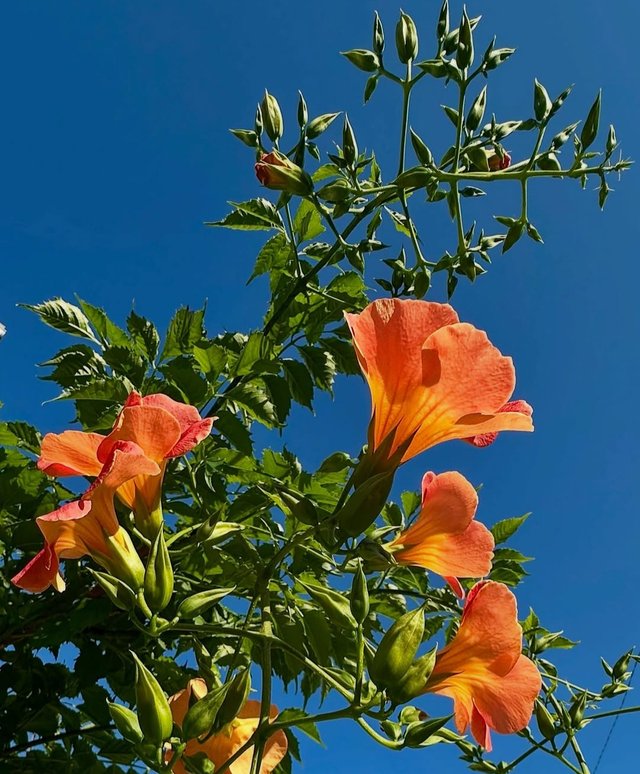 IMG_20250620_095748.jpg