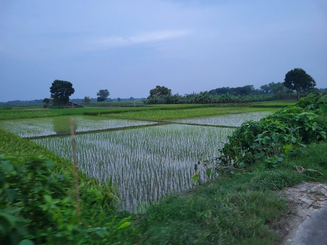 20250803_183708.jpg