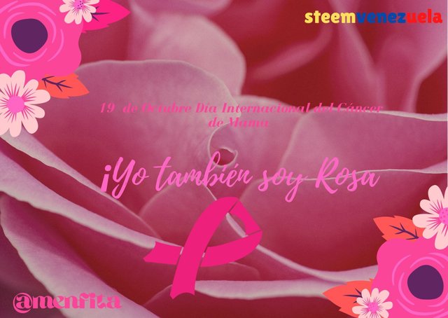 ¡Yo también soy Rosa.jpg