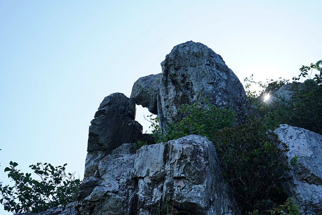 b-DSC08384.JPG