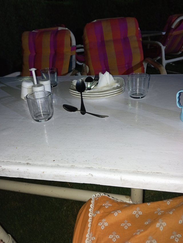 IMG_20250526_220222.jpg