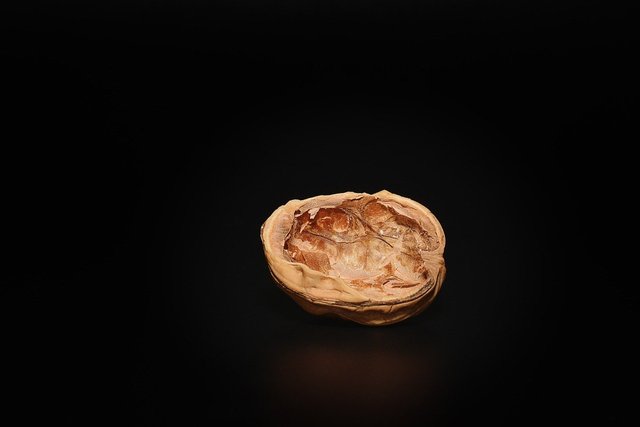 walnut-1258991_1280.jpg