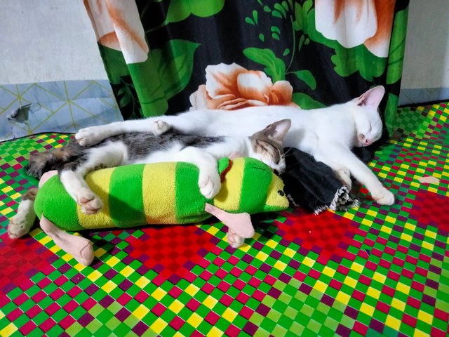 IMG20250701211139.jpg