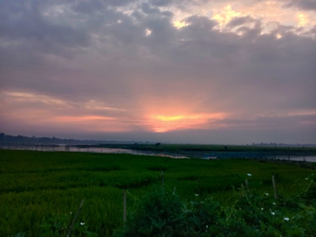 IMG_20250430_204137.jpg