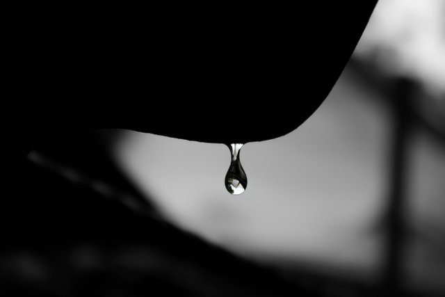 mayank-dhanawade-HuF1VgHHoWI-unsplash.jpg
