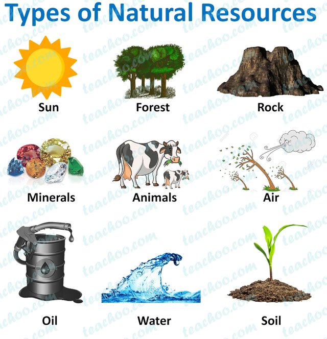 types-of-natural-resources-teachoo28129-1.jpg