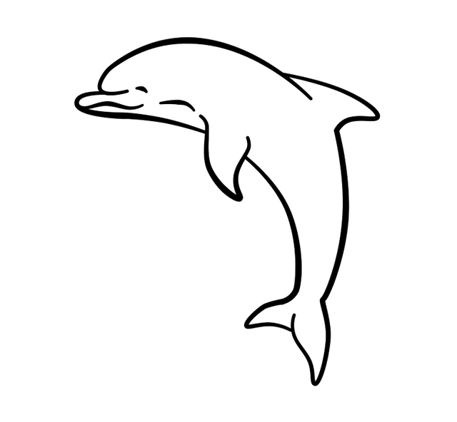 dolphin-5226841_960_720.png