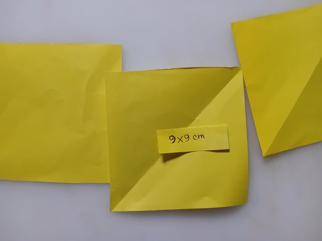 1000043886.jpg