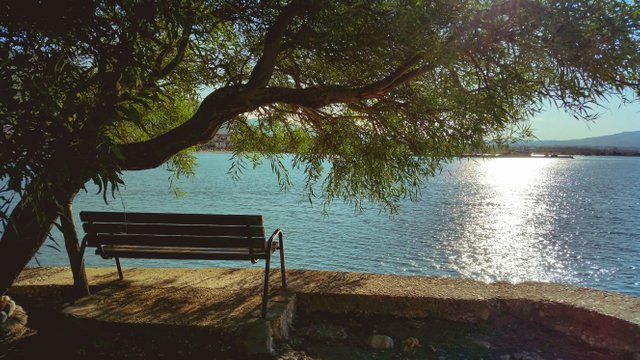 bench-daylight-lake-235242.jpg
