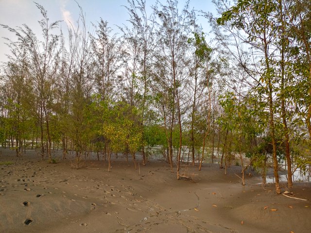 IMG20250403173642.jpg
